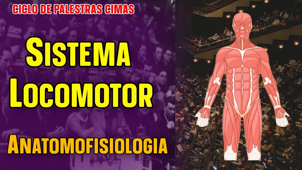 # AULA 38 - Anatomofisiologia do Sistema Locomotor
