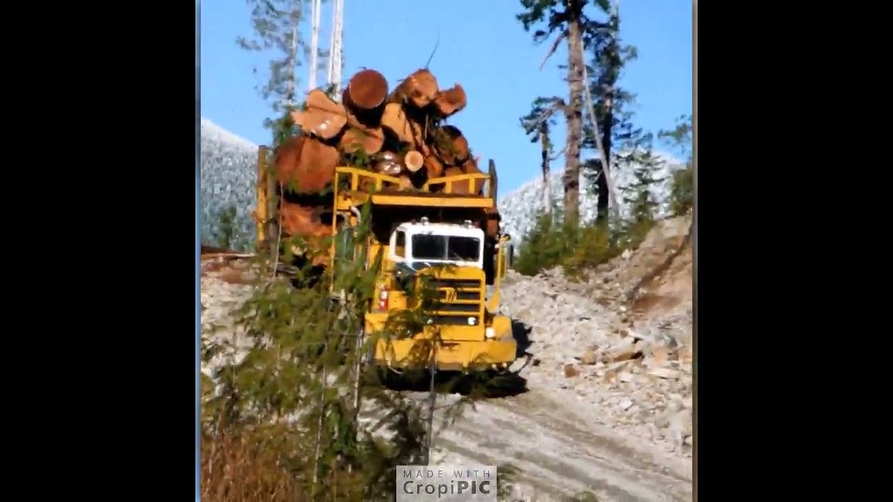 Before the house gets built (4) Loaded Heavy Duty Off-Highway Logging trucks.
