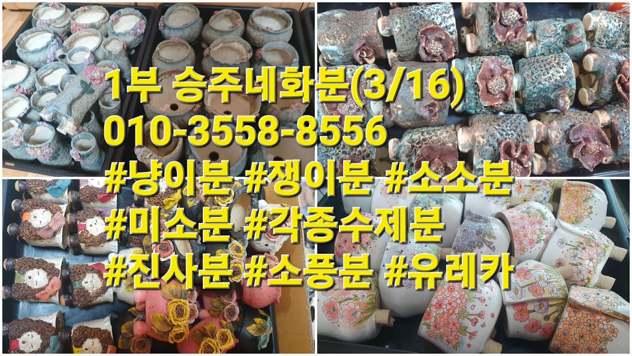 1부 승주네화분(3/16)010-3558-8556 #냥이분 #쟁이분 #소소분 #미소분 #각종수제분 #진사분 #소풍분 #유레카