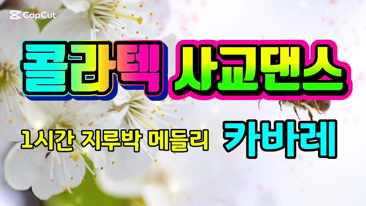 콜라텍 사교댄스 카바레 🌸 1시간 지루박 메들리 🌼 #지루박 #사교댄스 #콜라텍 #지루박음악듣기 