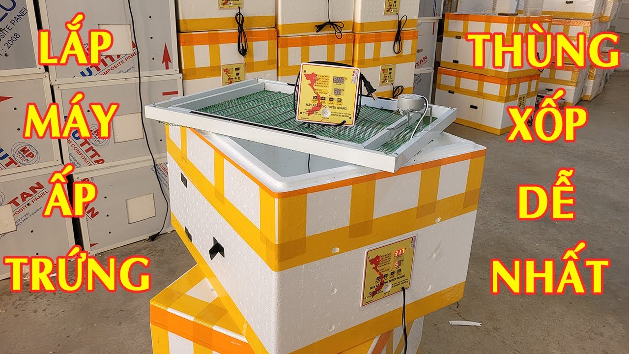 Cách Lắp Đặt Máy Ấp Trứng Tự Động Thùng Xốp Đơn Giản