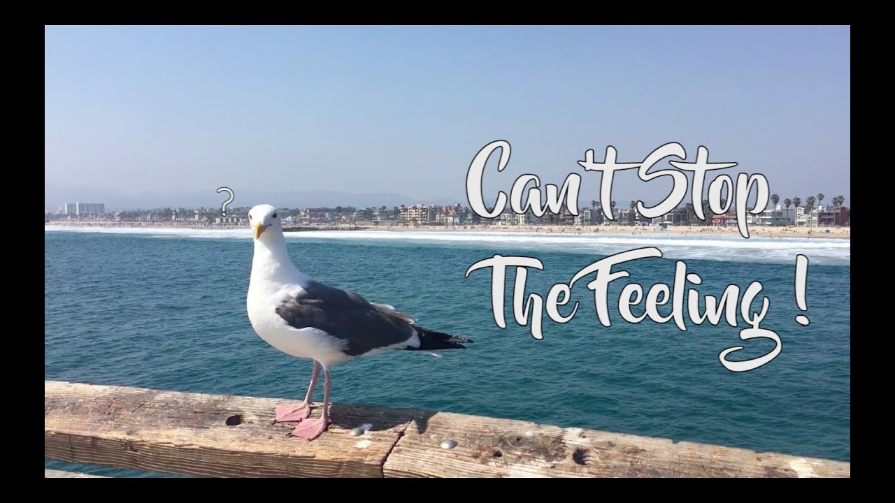 JUST JERK CREW | 저스트절크 | Justin Timberlake - CAN`T STOP THE FEELING!