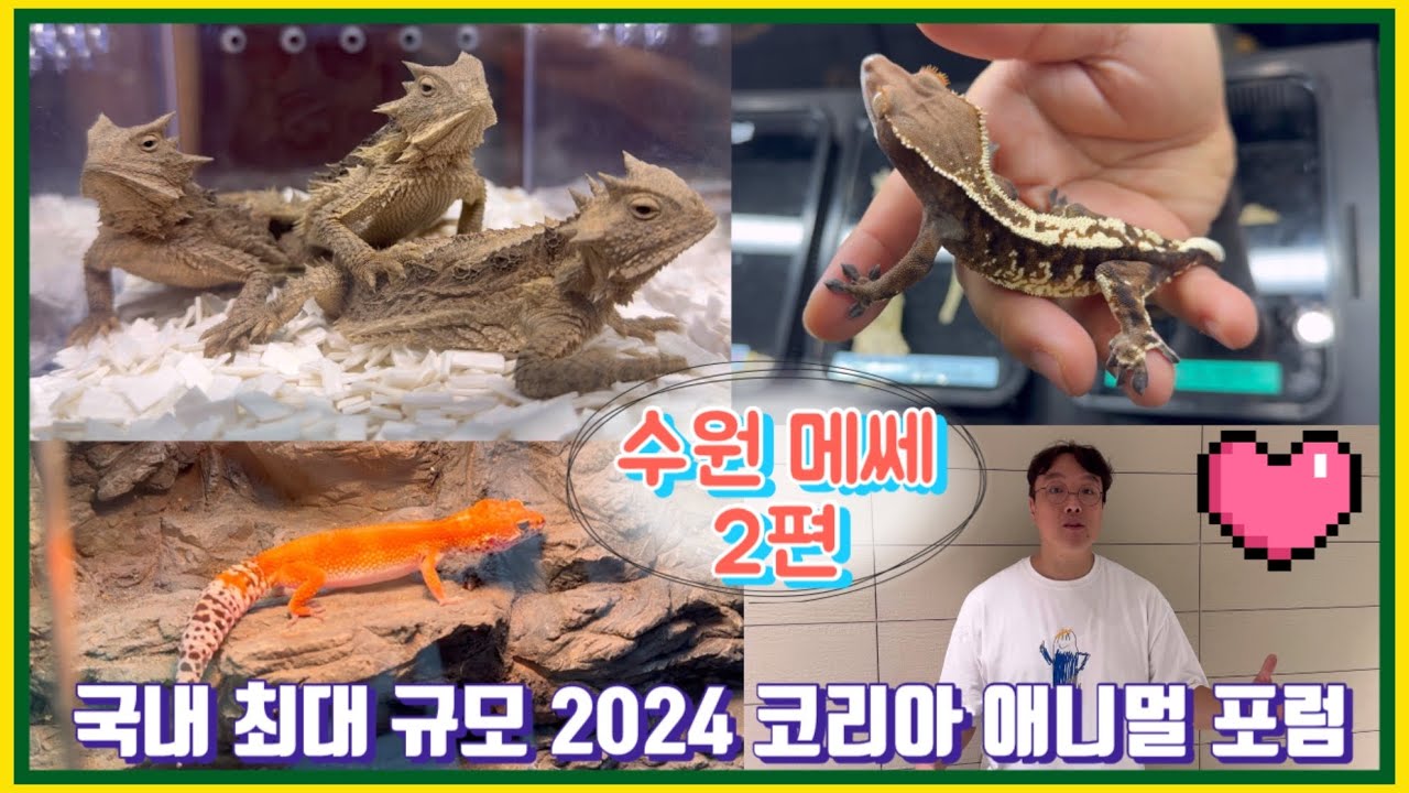 [2편] 2024 애니멀포럼 수원 메쎄 둘째날 후기 / 많아도 너무 많은 업체와 부스구경 꿀잼