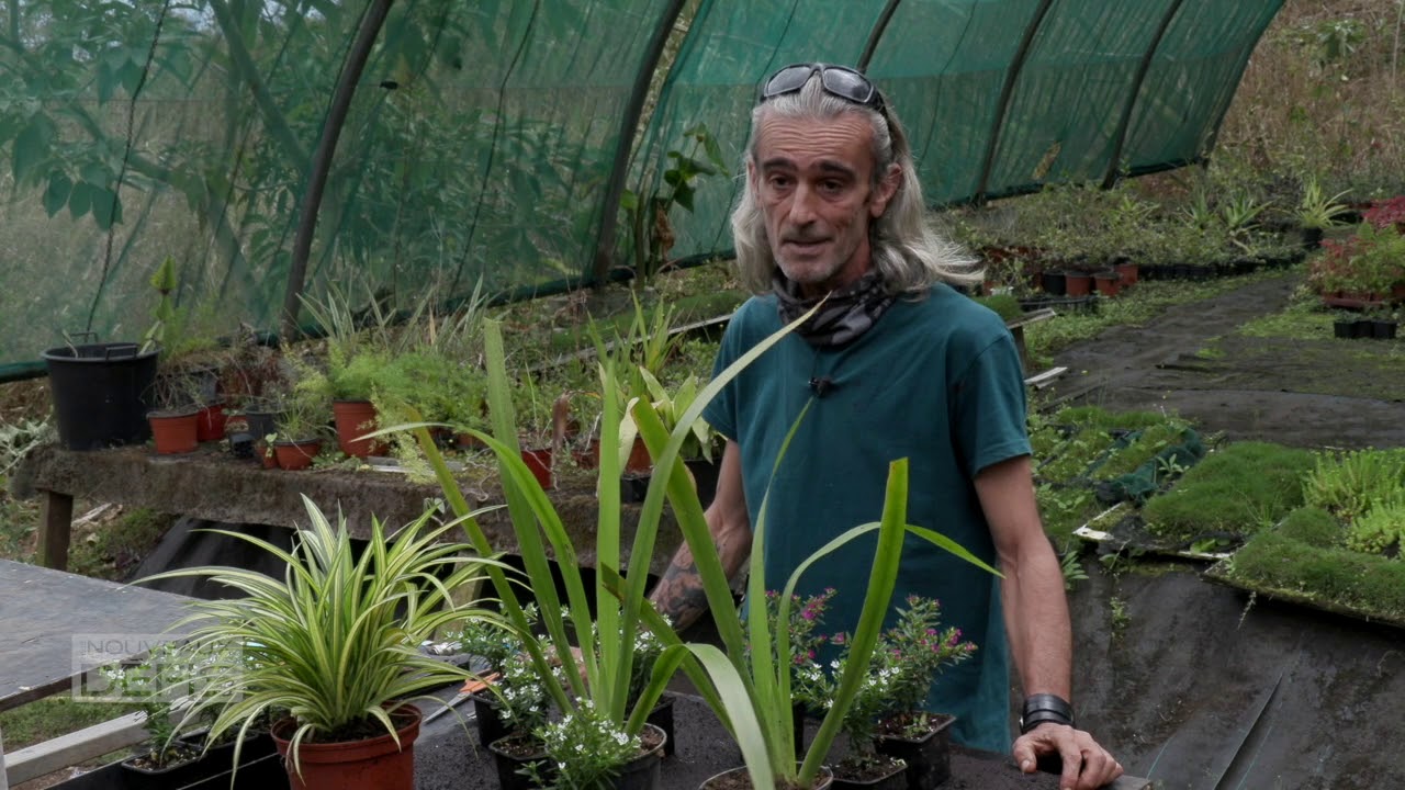 Jardins verticaux et toitures végétalisées réalisés par Darmatech-Aquakarma (oct. 20)