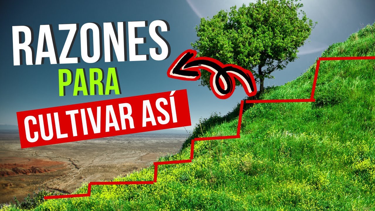 Terrazas Agrícolas y sus Ventajas [Andenes Incas] Secretos de Conservación del Suelo en Laderas