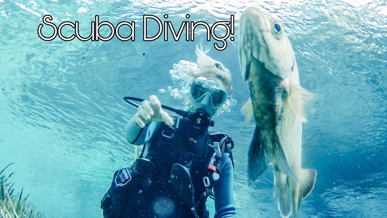 Scuba diving in Alexandra springs, getting unique donuts after!