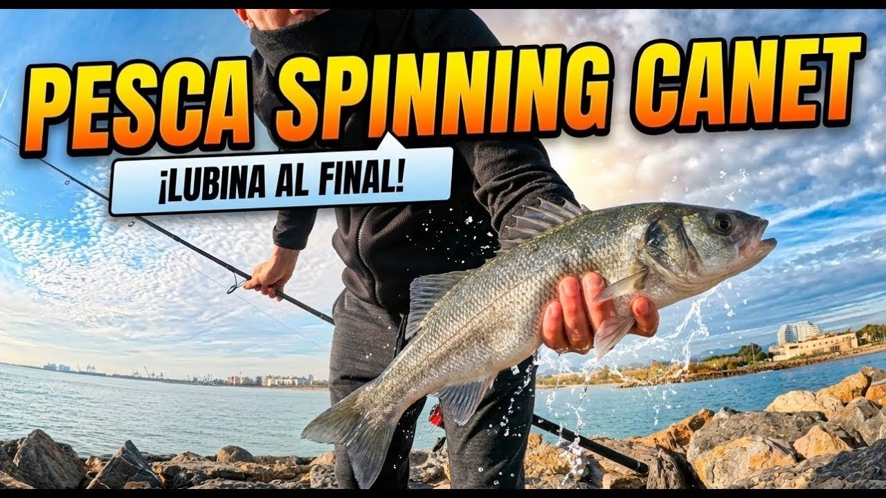LUBINA A SPINNING EN CANET