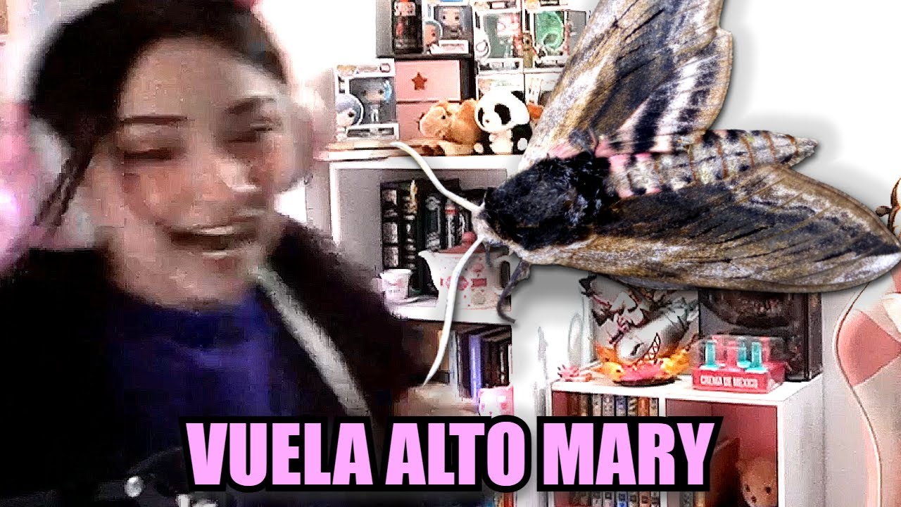 Mary, streamer de 24 años, se enfrenta a su peor fobia xd