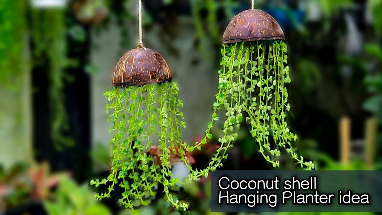 Coconut shell hanging planter idea | easy jellyfish Hanging planter | coconut shell craft
