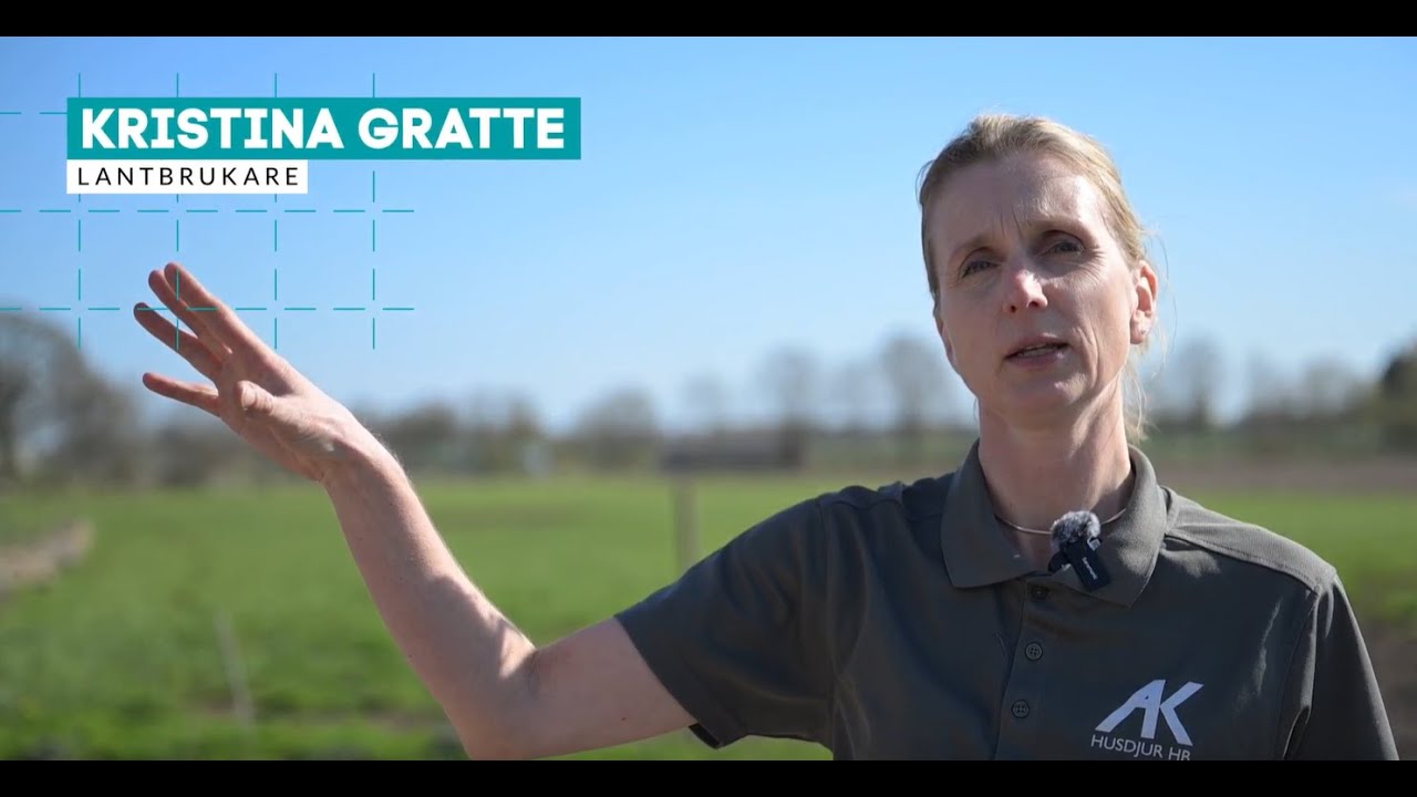 Bete för kor - Kristina Gratte i Vassmolösa