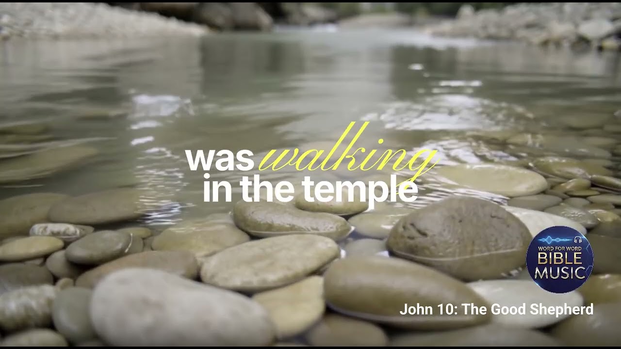 John 10 Song | The Good Shepherd — A Chapter a Day 