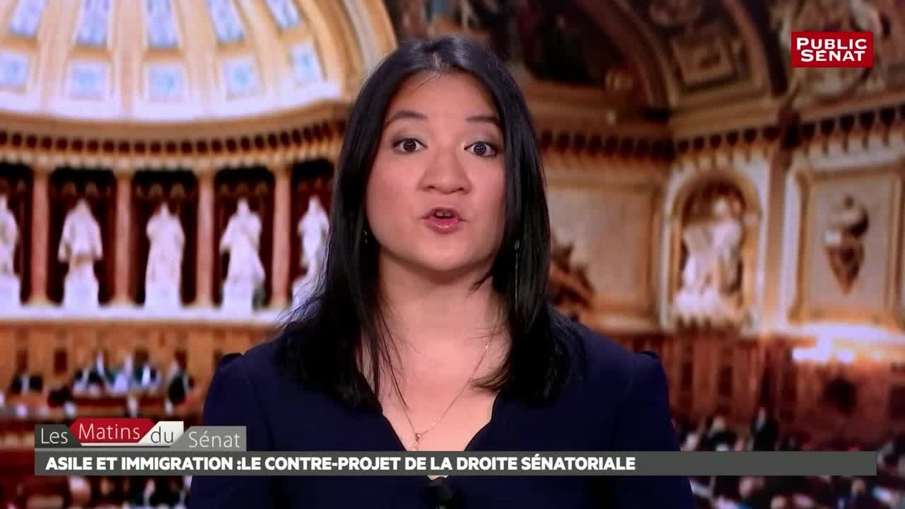 Asile et immigration : les temps forts du d&eacute;bats autour du con... - Les matins du S&eacute;nat (02/08/2018)