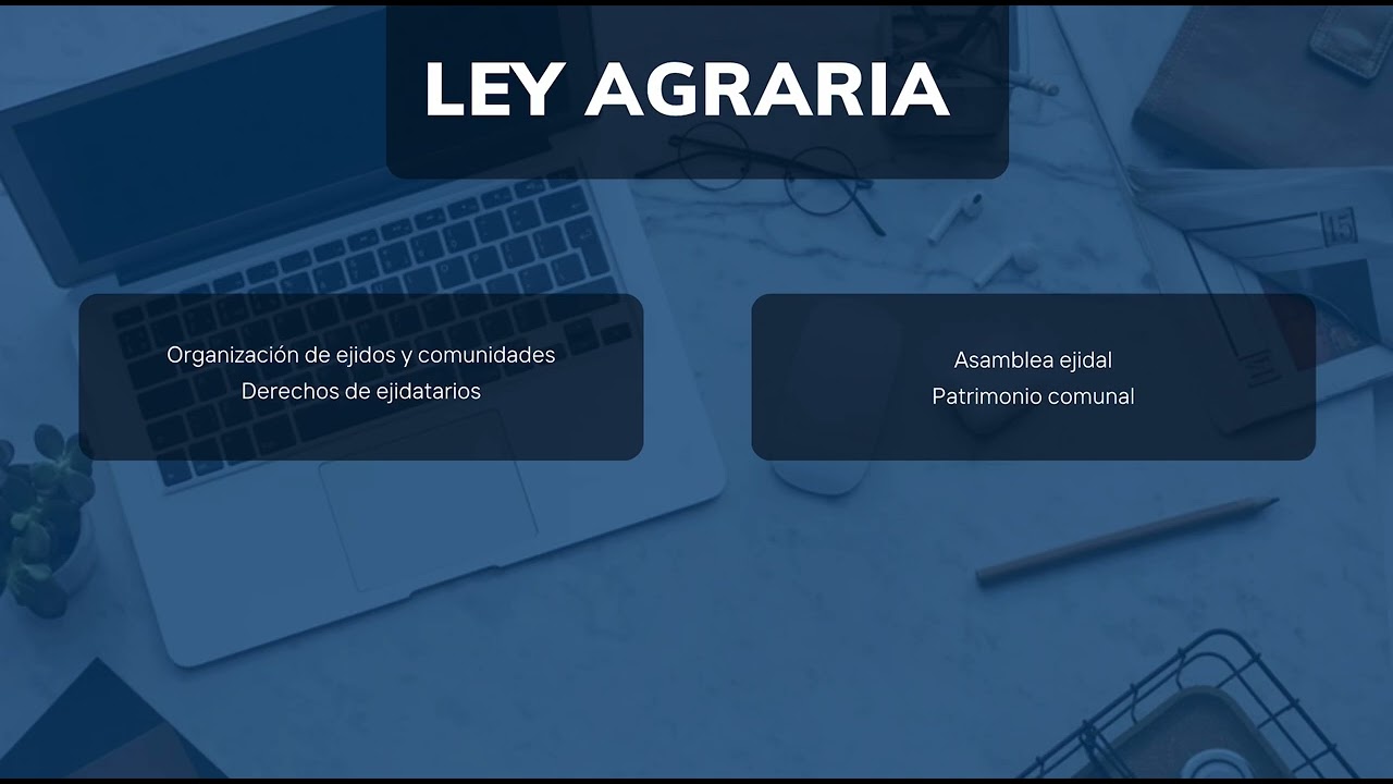 Ley agraria  (art&iacute;culo 1-40) 