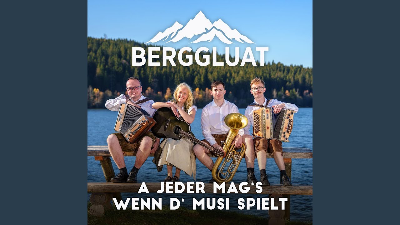 A jeder mag's wenn d' Musi spielt