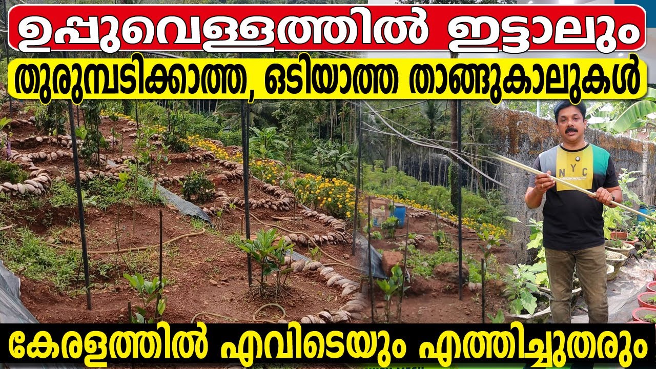 ഇരുമ്പും വേണ്ട, PVC യും വേണ്ട തുരുമ്പടിക്കാത്ത, ഓടിയാത്ത, ഭാരമില്ലാത്ത  ഇത് മതി കൃഷിക്ക്