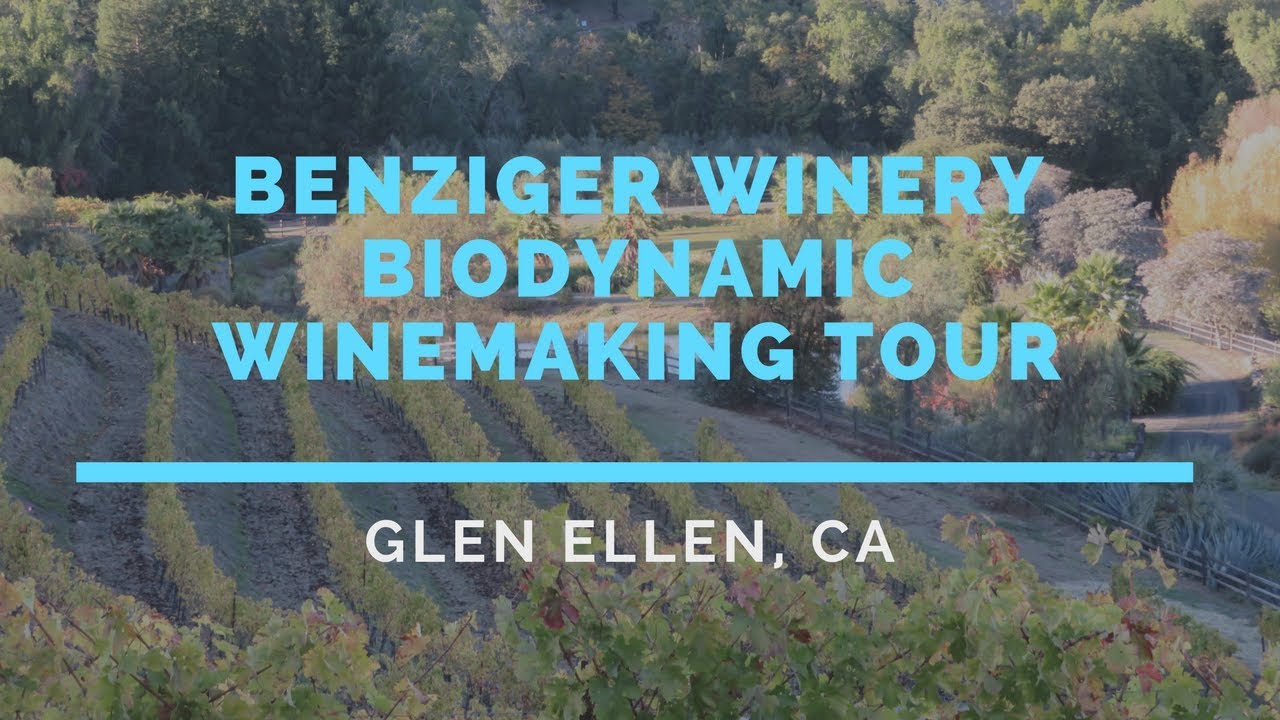 Benziger Winery Tour - California Wine Country