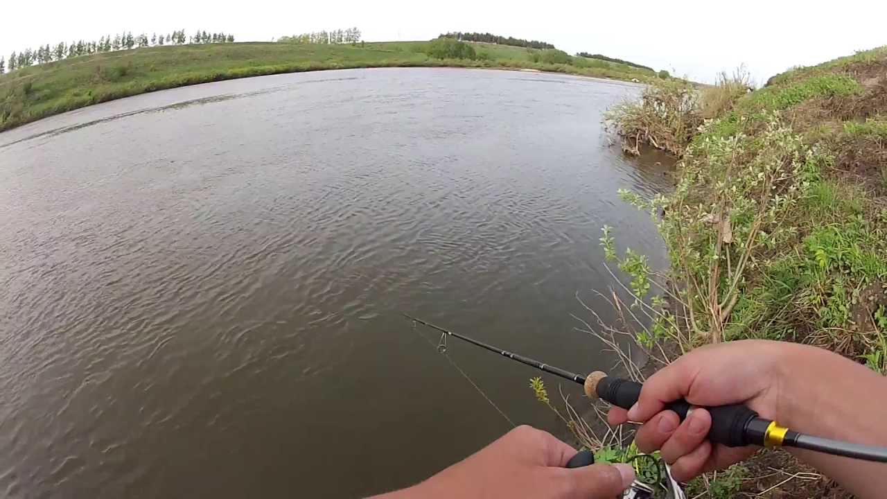 Ловля голавля из под куста на L-minnow 44
