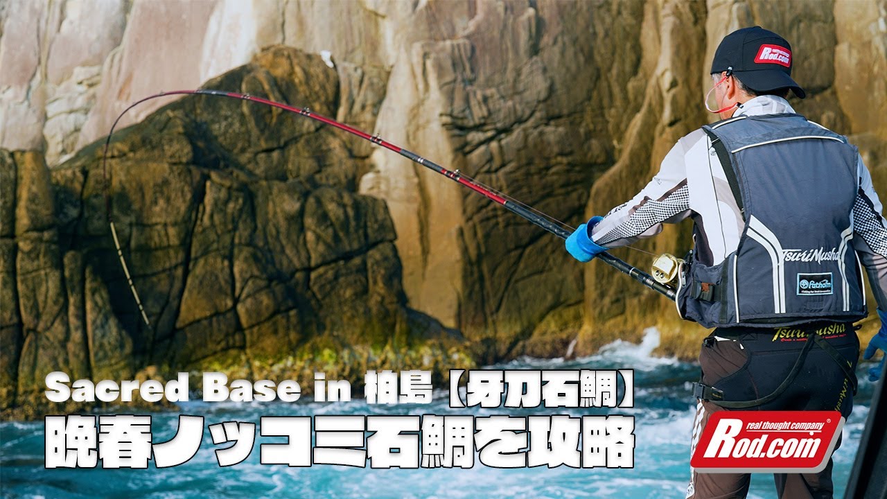 【Sacred Base】in 柏島　晩春のノッコミ石鯛を攻略［牙刀石鯛］前編