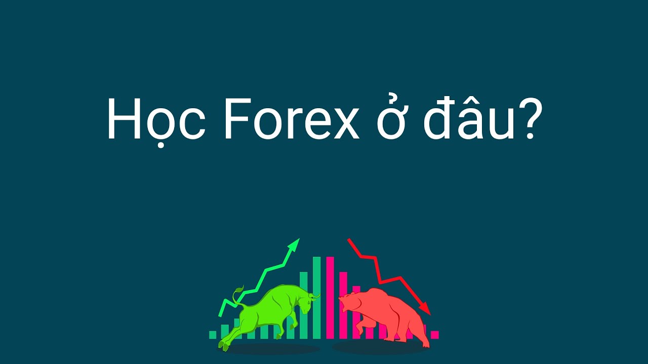 Đầu tư forex | N&ecirc;n học giao dịch Forex ở đ&acirc;u?