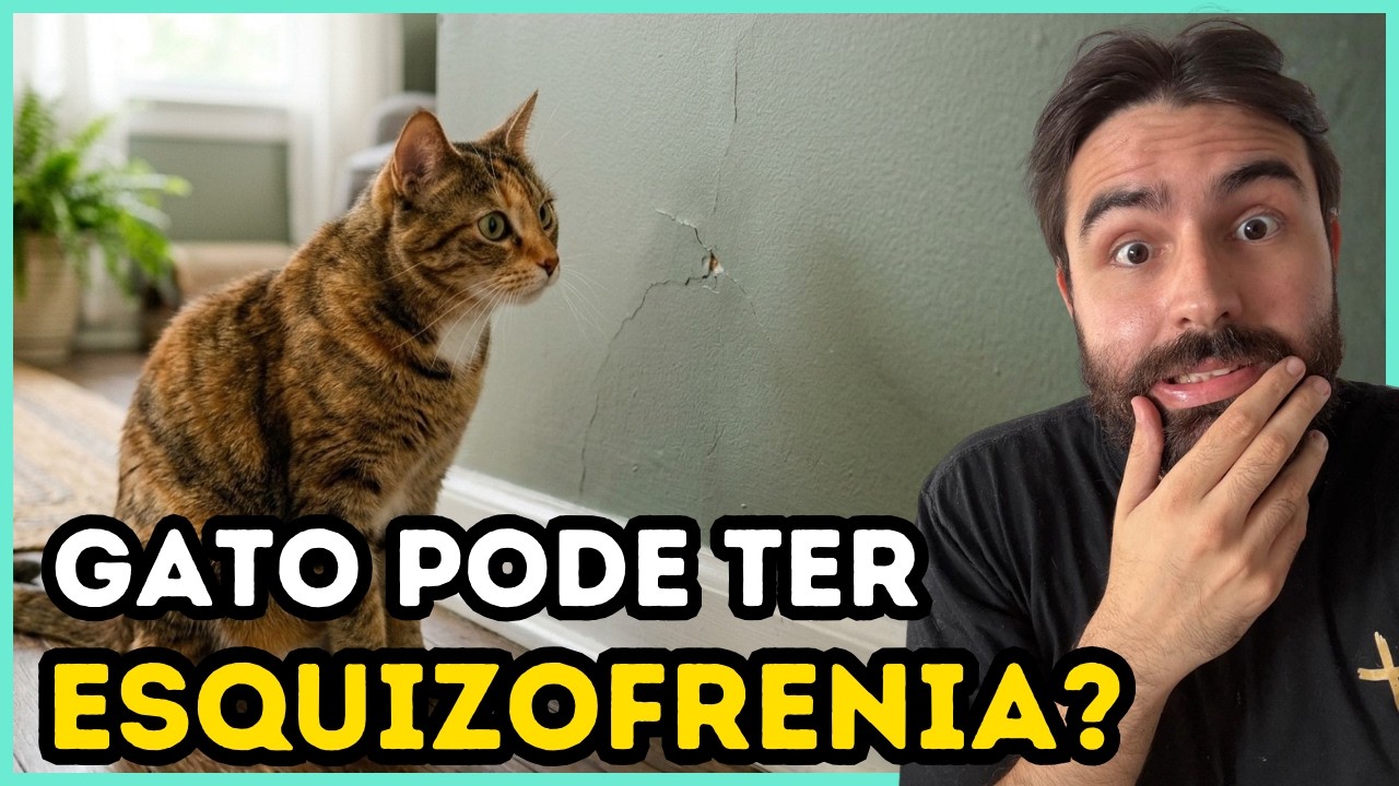 Os gatos podem ter esquizofrenia?