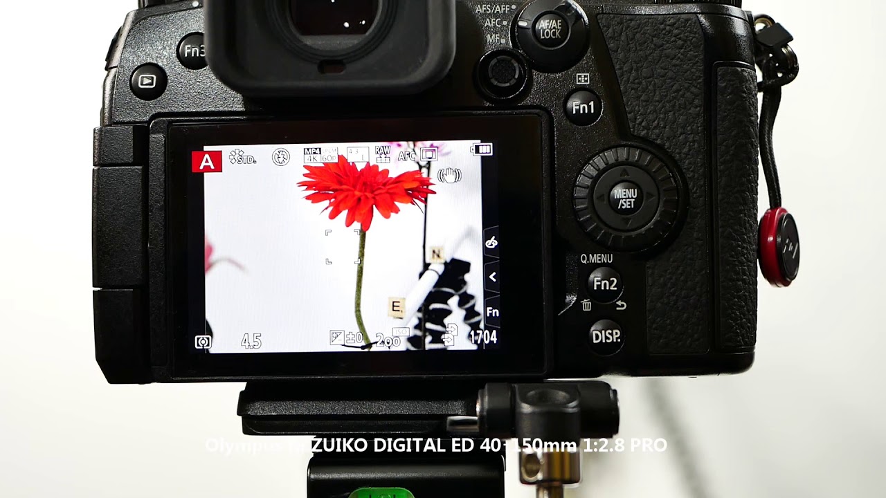 Panasonic Lumix G9 (#09) Autofokus (AFC) Olympus Pro Objektive an G9 im Vergleich