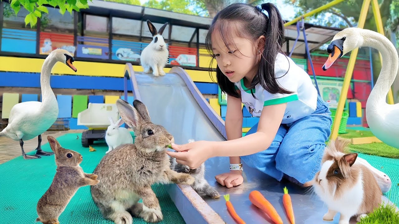 Kasih Makan Kelinci, Angsa dan Sapi Lucu di Kebun Binatang