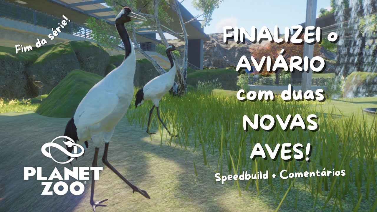 TERMINEI o AVIÁRIO com o Grou e o Emu| Planet Zoo Gameplay Speedbuild |Planet  Zoo 2025 PTBR
