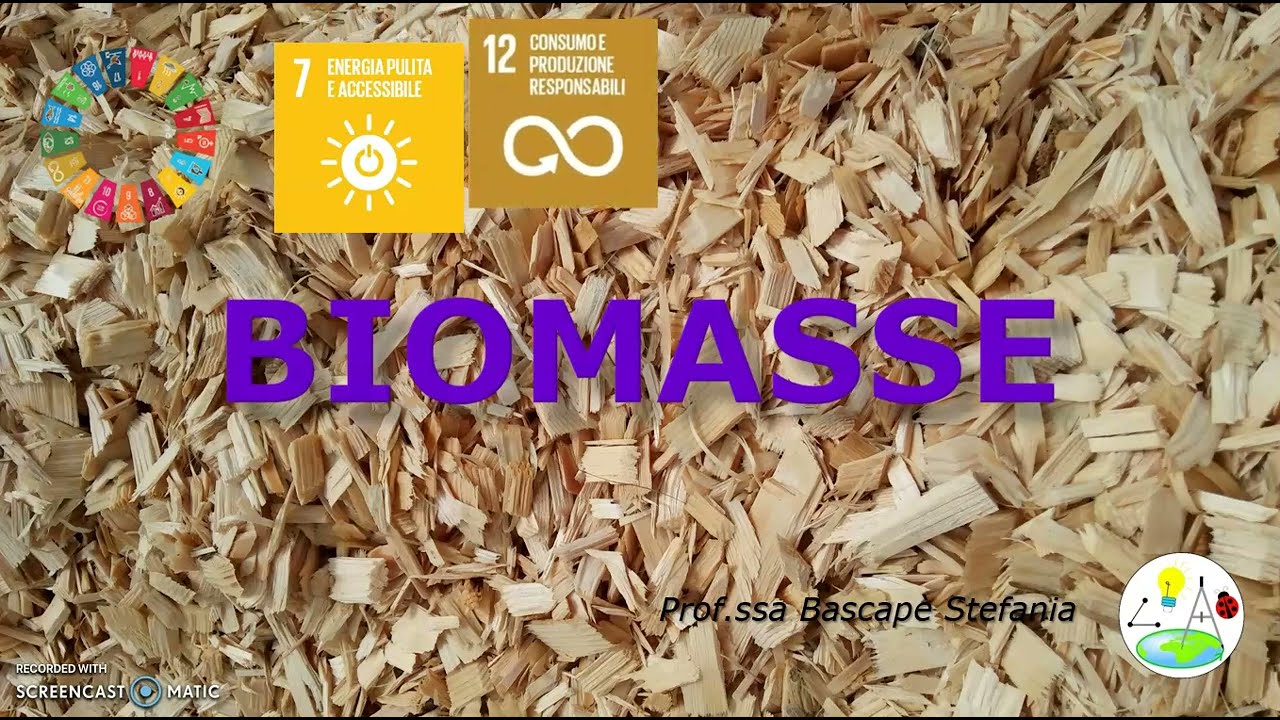 Biomasse