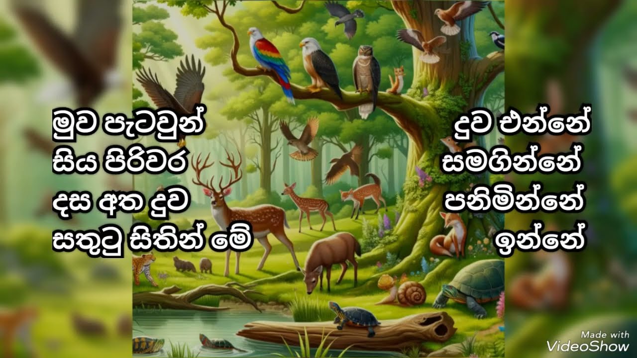 කවි හදමු#කවි හදමු#කවි#වන අසිරිය ගැන#kawi hadamu #wana asiriya@MADHUSHIKASEWWANDI-rv8jz