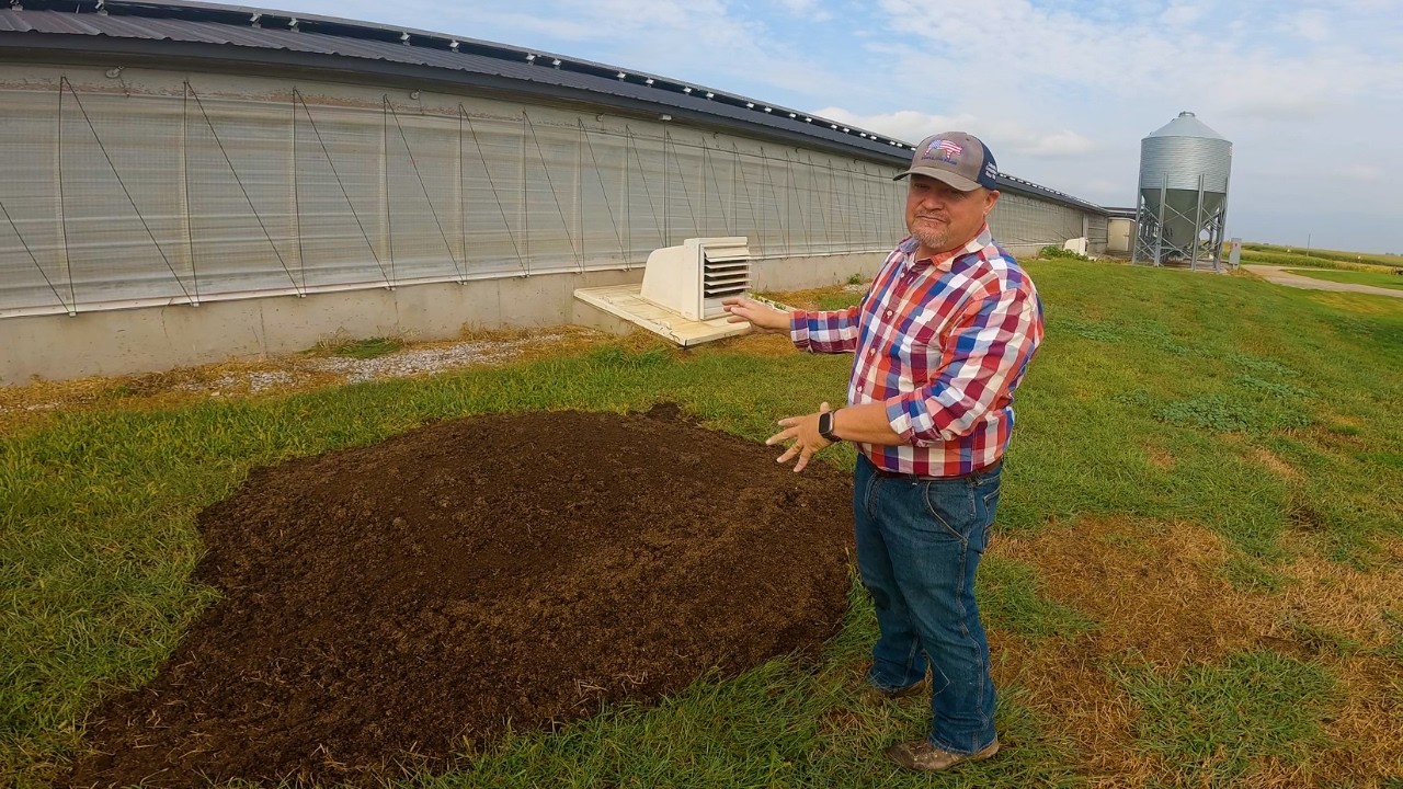 Manure Miracle: Hog Poop to Gold Fertilizer!