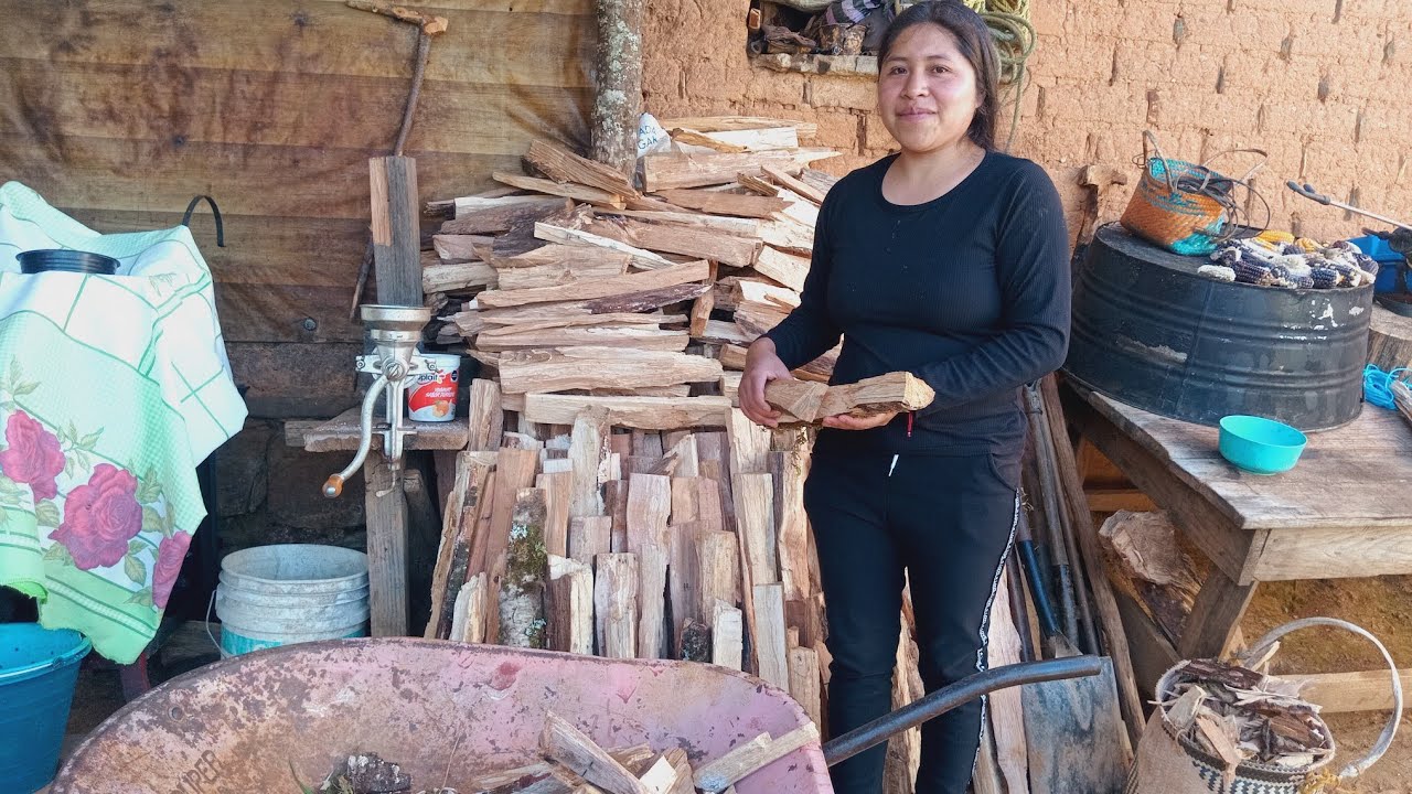 Una tardecita linda juntando la leña que ocupamos para preparar nuestros alimentos 