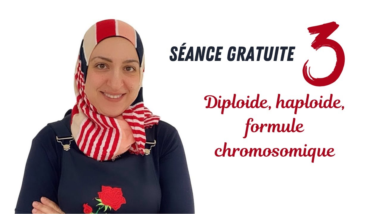 Cellules diploïdes et haploïdes (Séance 3)