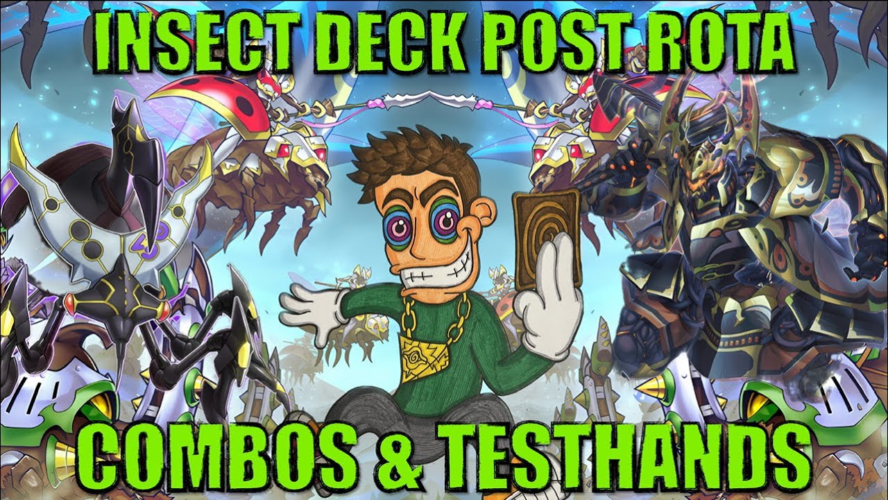 IN-DEPTH INSECT COMBOS AND TESTHANDS POST ROTA!! (November 2024)