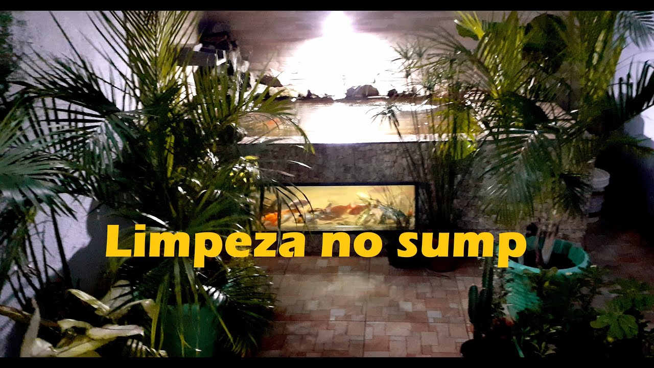 Lago de Carpas limpeza sistema de Filtragem