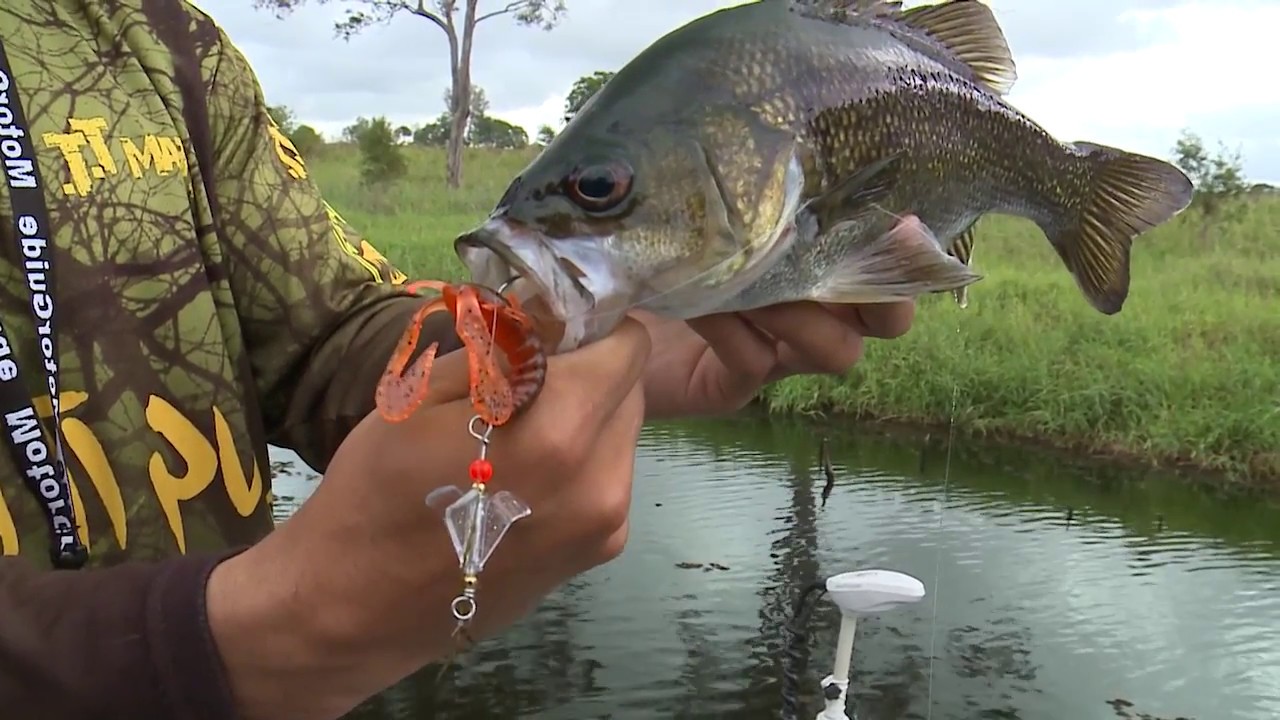 TT Lures BuzzlockZ