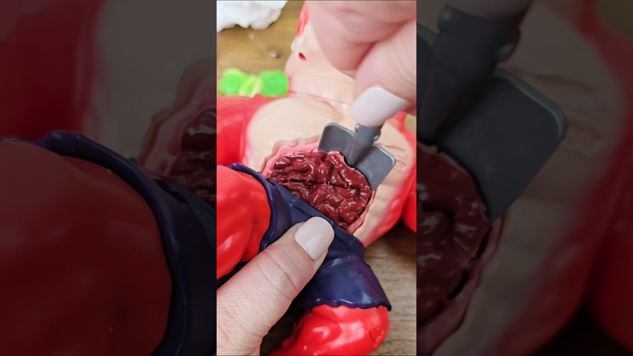 Smashers Horror House Zombie Rex #asmr #zuru #unboxing #treasurex #zombie