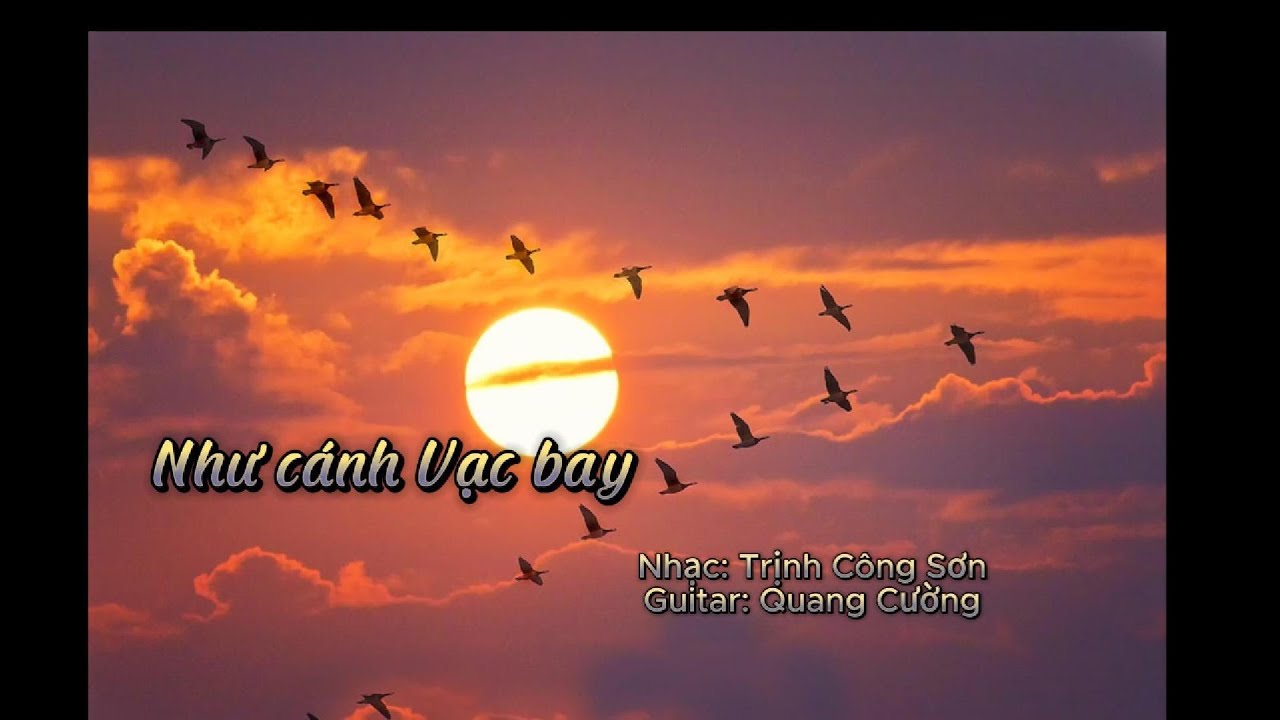 NHƯ CÁNH VẠC BAY (TRỊNH CÔNG SƠN) - Solo Guitar by QUANG CƯỜNG