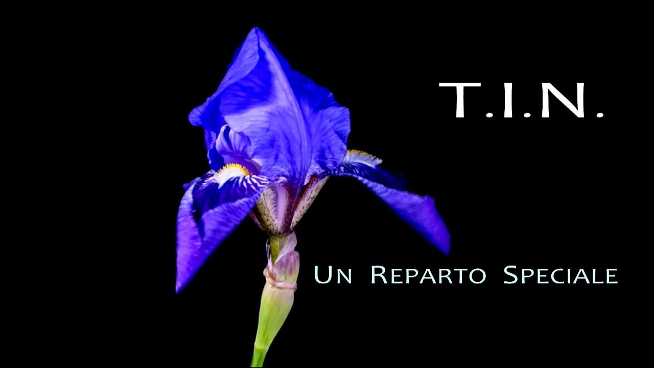 Terapia Intensiva Neonatale - Ospedale S. Anna Cona (FE)