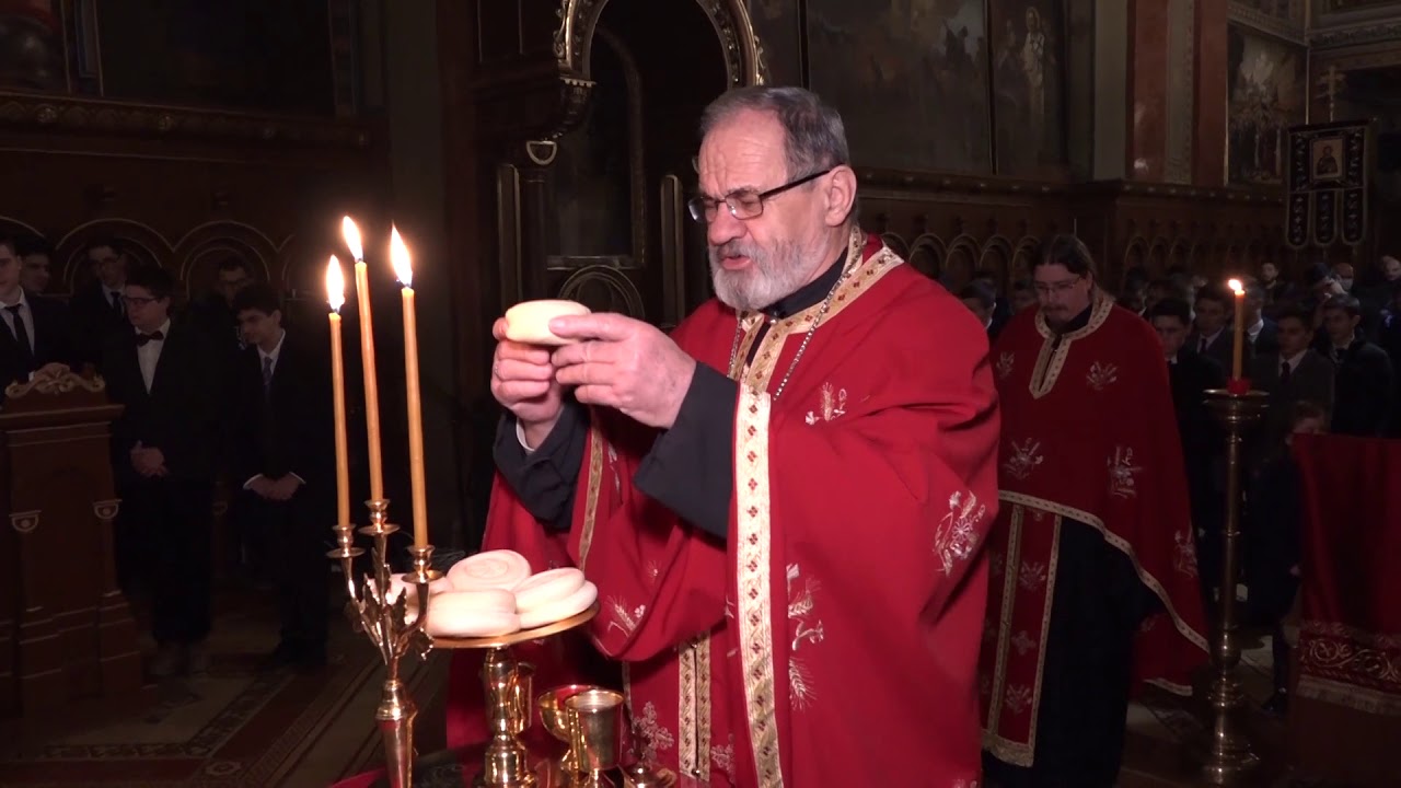 Саборна црква у Сремским Карловцима - Свети Сава 26.01.2021. Бденије и рецитали - најава