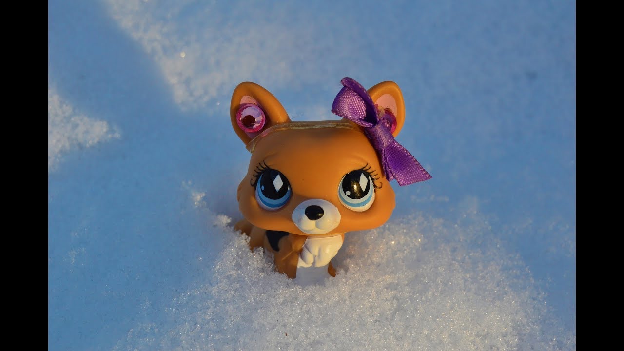 Littlest Pet Shop: Zima a Vánoce ❄️