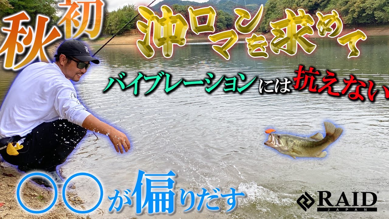 【初秋】沖ロマンを求めて【バイブレーションには抗えない】/金森 隆志