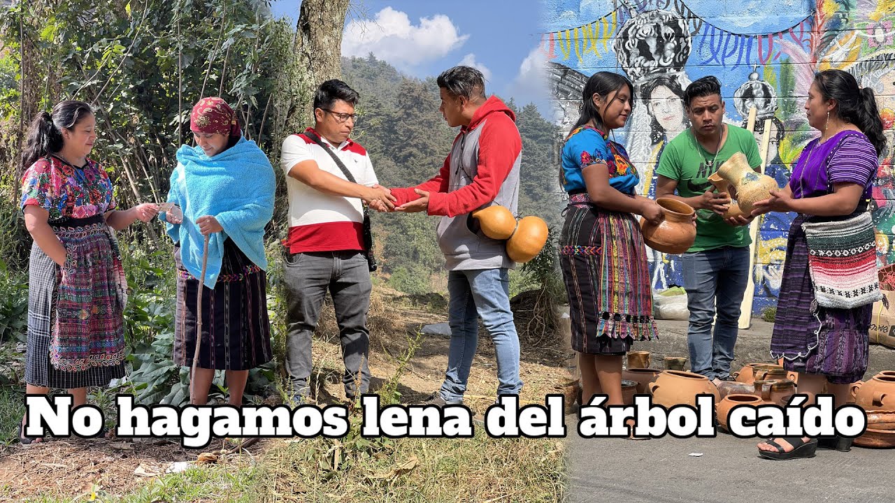 No hagamos leña del árbol caído, recuerda que maña ese árbol puedes ser tu