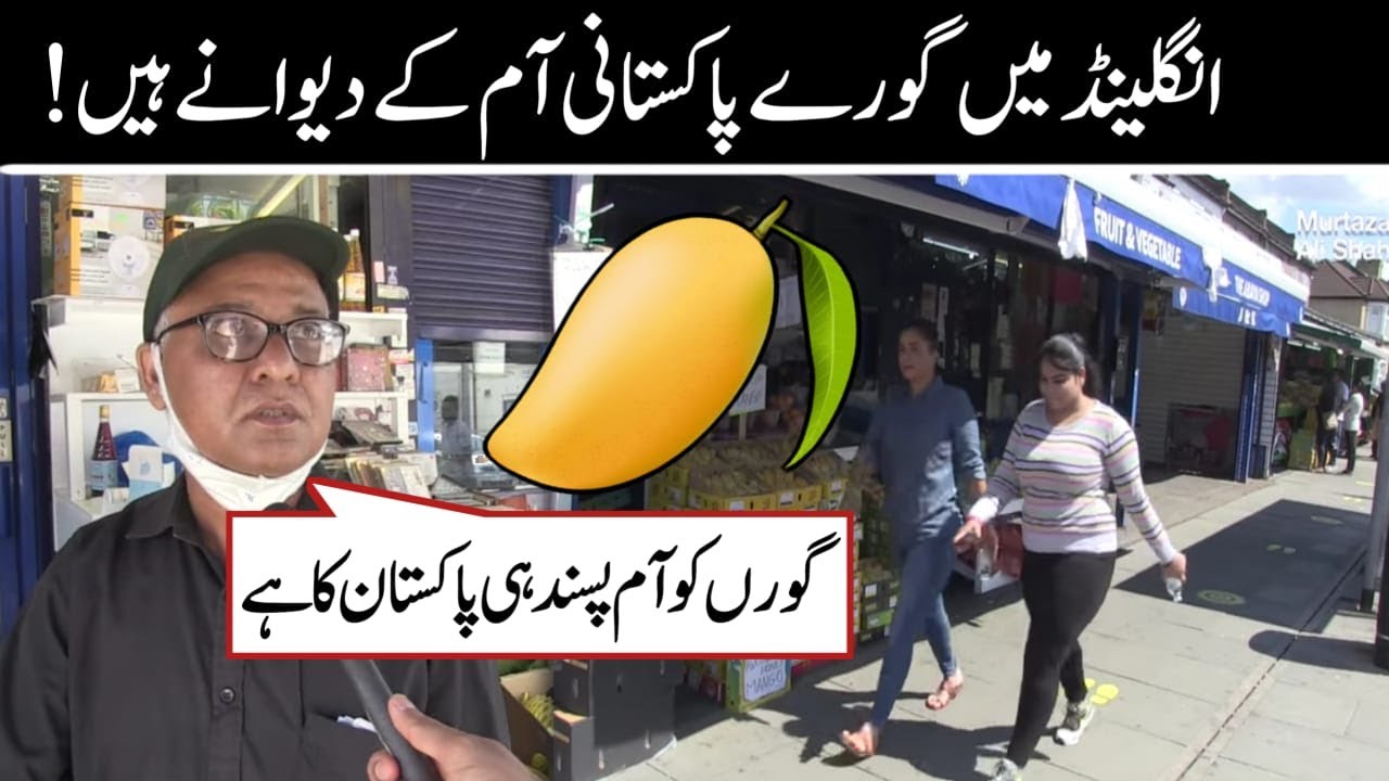 Pakistani mangoes popular in the UK - Indian and Pakistani traders sell juicy Pakistani mangoes