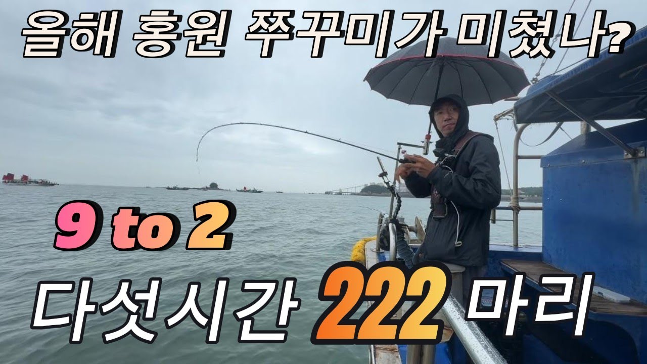쭈꾸미 잡는 핵심 운용법을 다시 한번 복습해봅니다.