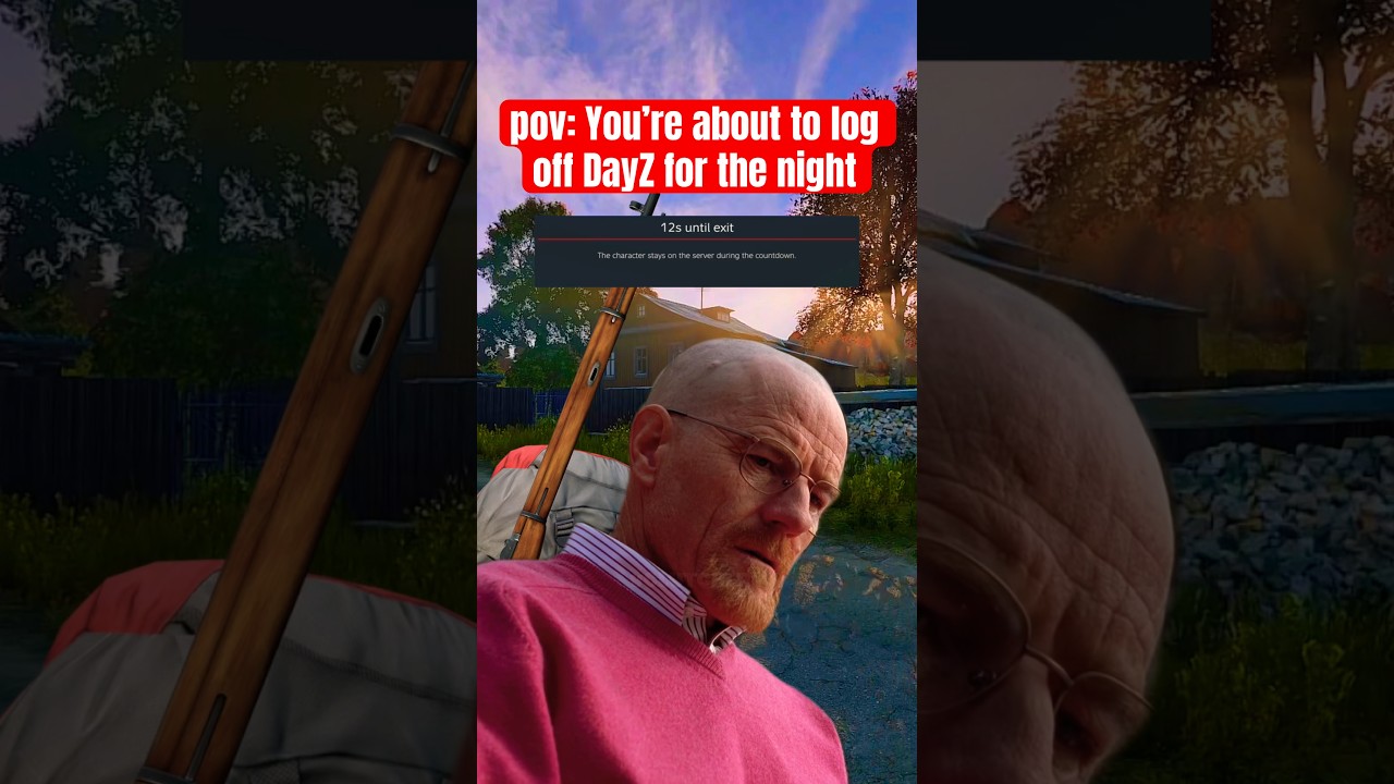 What it’s REALLY like on DayZ 