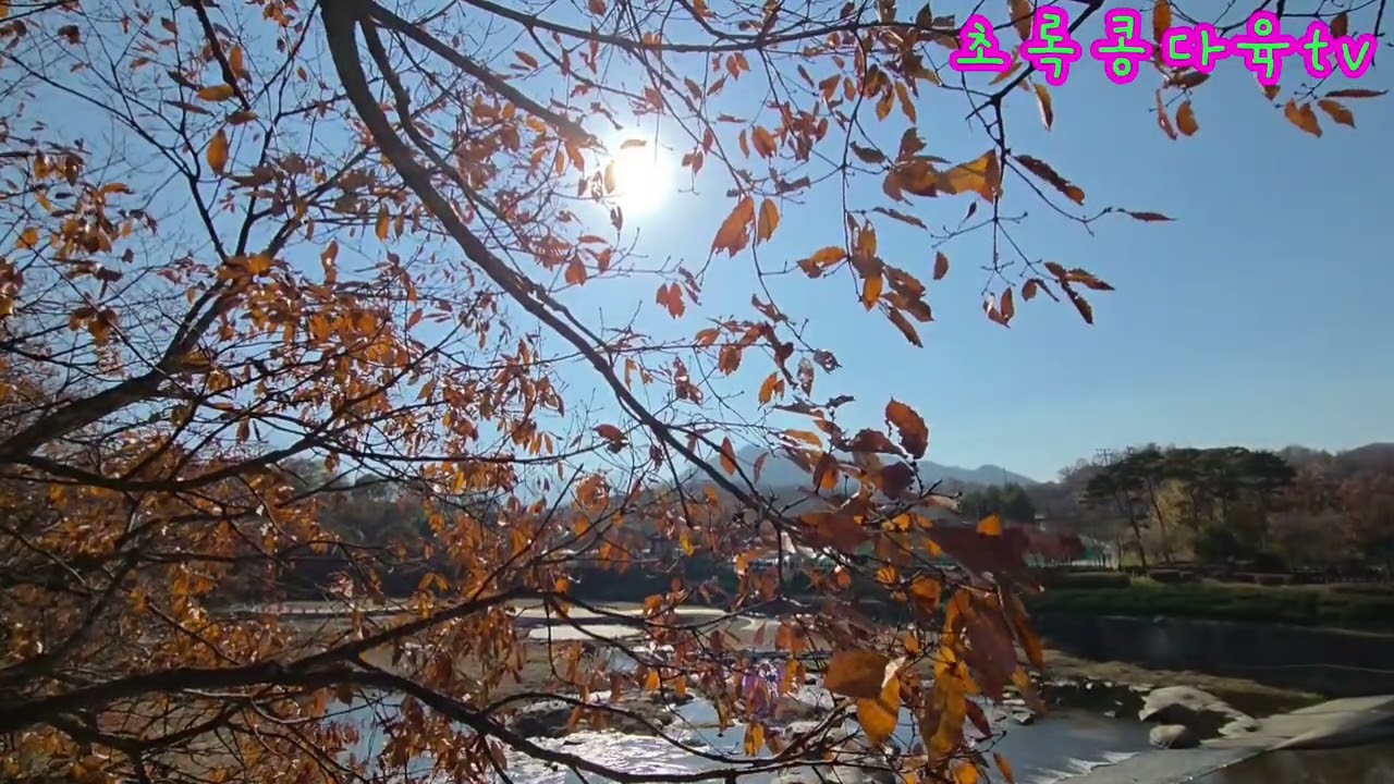    [ASMR] 바람따라 낙엽따라....