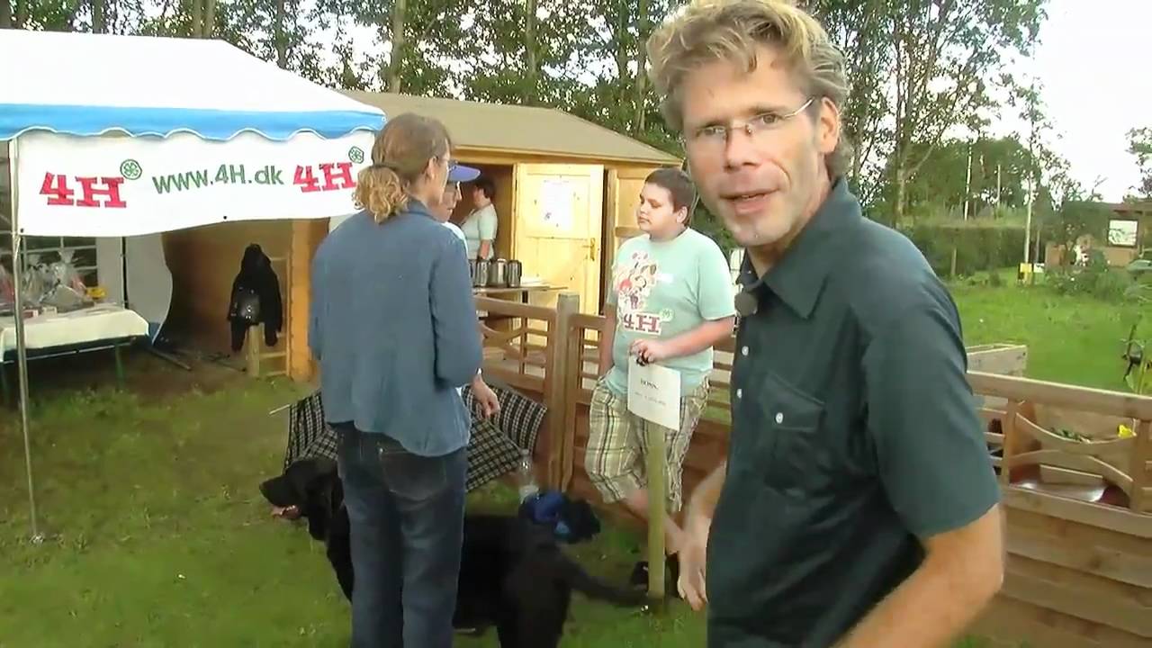 4H Dyrskue