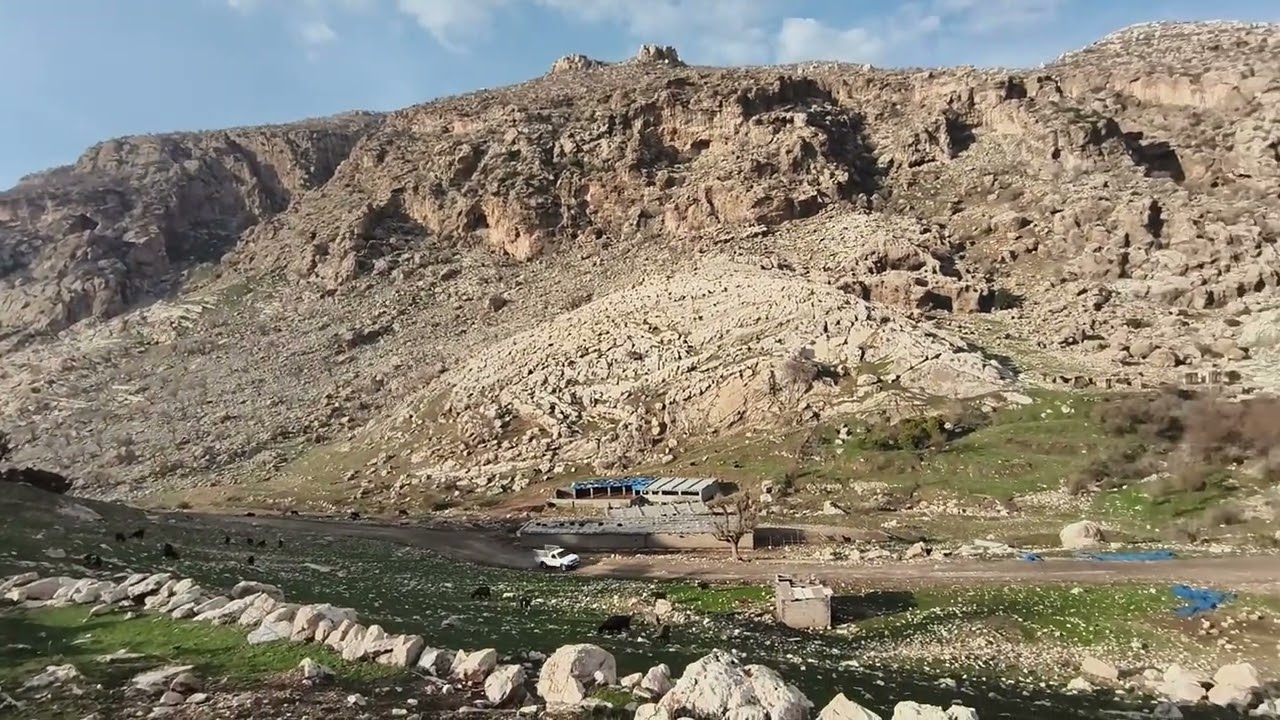 ٧ فبراير ٢٠٢٦