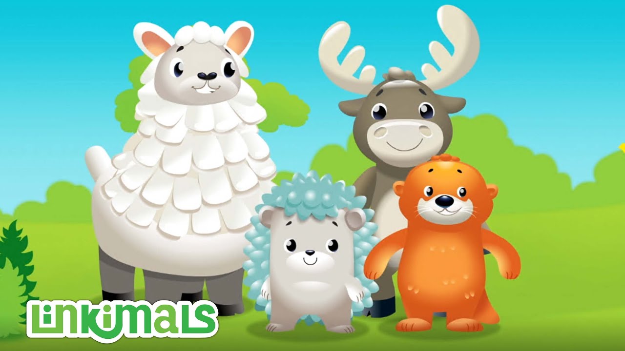 Linkimals™ | Opposites Song 1h+ Songs for Kids | Cartoons for Kids