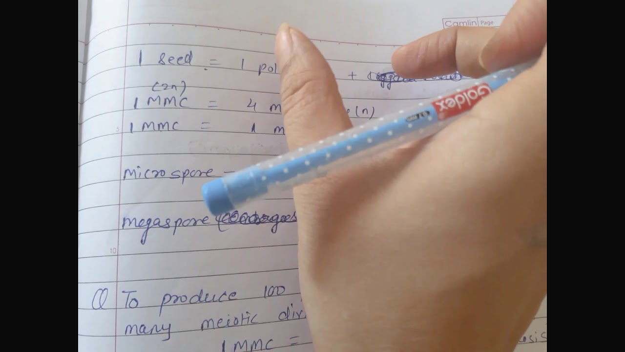 BIO//CLASS-12// Sexual reproduction in flowering plant (NUMERICAL)
